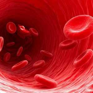Simptomi i uzroci niskog hemoglobina kod žena