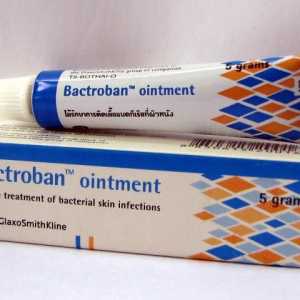 Antimikrobna mast "Bactroban": Uputstvo za upotrebu