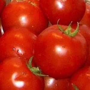 Neka paradajz imati obilne zalijevanje, rijetke i precizno