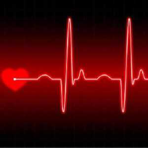 Dešifrovanje EKG srca