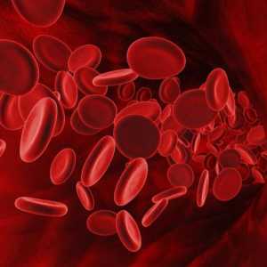 RBC: analiza krvi, dekodiranje, stopa i vrijednosti. Normalno stopa crvenih krvnih zrnaca (RBC) u…