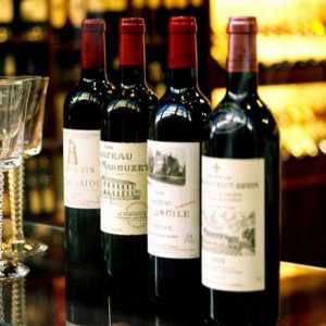 Regije Bordeaux vina: klasifikacija i opis. Najbolji brend "Bordo"