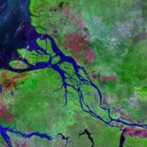Amazon River - najdublja rijeka na svijetu