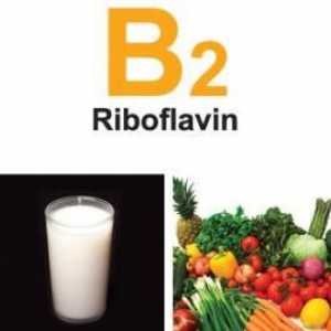 Riboflavin - vitamin ljepote