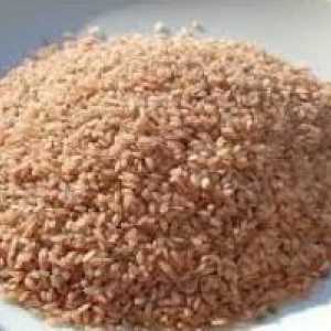 Rice "devzira": sorte i korisnih svojstava. Gdje kupiti rice "devzira"?