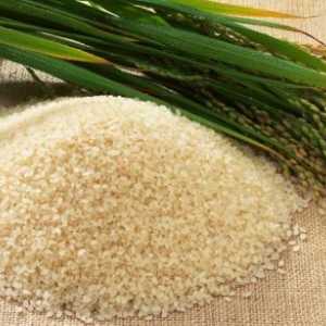 Rice i Congee. Korisni svojstva