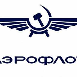 Russian Airlines - od "Dobrolet" do "Aeroflot"