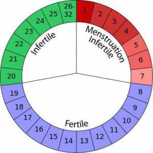 Najsigurnije trudnoće dana: kako izračunati? Metod kalendar kontrole rađanja: sef dana