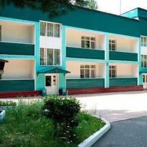 Sanatorij "Pine Forest" (Kemerovo regija, selo Podyakovo): zdravstvena zaštita, hrana,…