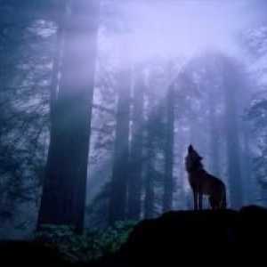 Serije "Wolf Lake" - zamršeni spoj misticizma i romantiku