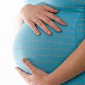 Ugrušaka u materici nakon porođaja: uzroke. Šta da radim? Čišćenje nakon rođenja