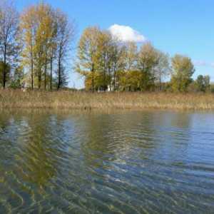 Shatsky Jezera: locirati i rekreaciju