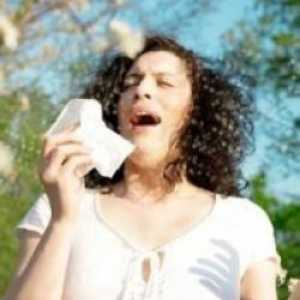 Simptomi alergije na topole dlačica. Liječenje i prevencija