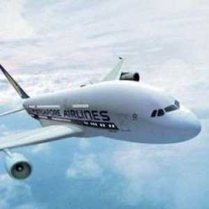 "Singapore Airlines": zvaničnom sajtu aviokompanije i recenzije