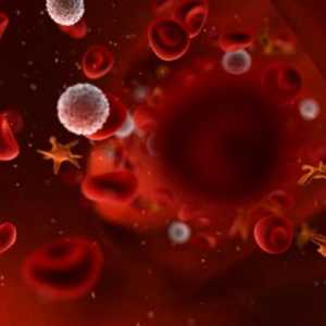 AB0 sistema i nasljeđivanje krvne grupe kod ljudi