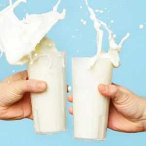 Koliko proteina u mlijeku (100 grama). Koliko proteina u mlijeko u prahu