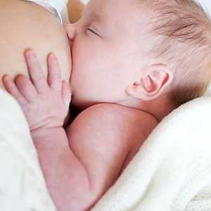 Kako jesti novorođenče: teorija i praksa