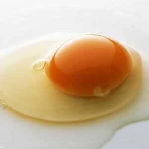 Koliko jaja u jedan gram proteina?