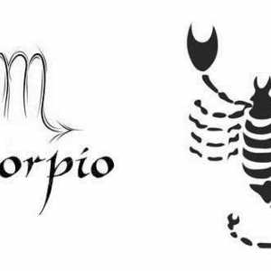 Scorpio: znak element, kompatibilnost