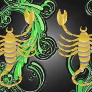 Scorpions žena u ljubavi: magnetizam i obmane