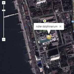 Sochi, Adler - Dolphinarium