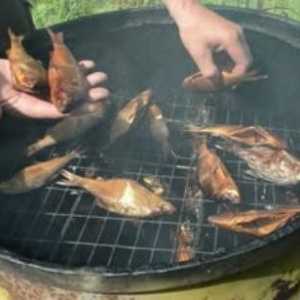 Savjeti o tome kako voditi ribe pušenja u pušnice vruće način