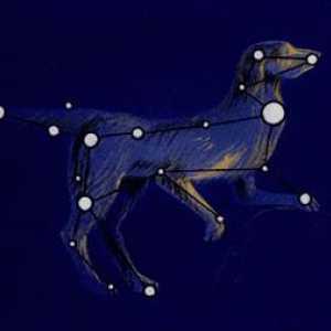 Constellation Canis Major: Istorija i zvijezde