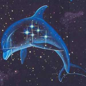 Constellation Dolphin - mala, ali zanimljiva