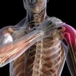 Sportskih ozljeda ramenog zgloba