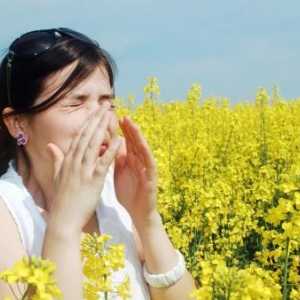 Je lijek za alergije na ambroziju - to postoji?