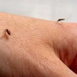 Protiv komaraca za dojenčad. Pregledi protiv komaraca na djecu mlađu od godinu dana