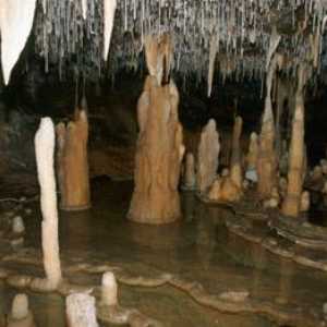 Stalagmita i stalaktita: metode obrazovanja, razlike i sličnosti
