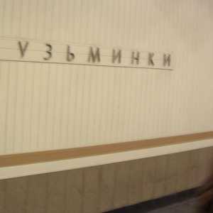 Metro stanice "Kuzminki" (fotografija). Ono što je grana?