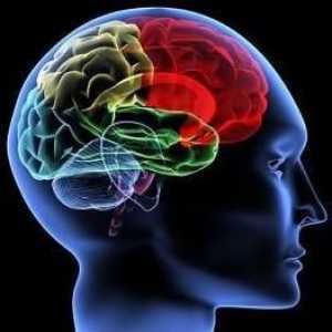Treba Vjerujem narodnoj medicini: šišarke od moždanog udara