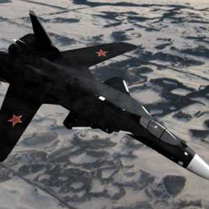 Su-47 "Golden Eagle": slike, svojstva. Zašto u neposrednoj blizini projekta?