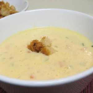 Sir juha s piletinom: recept nježan prvi kurs