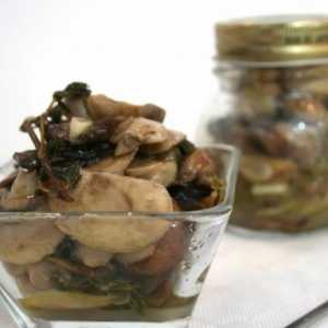 Svježe gljive: kako Pickle ih ukusno. Savjeti i recepti