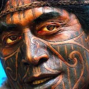 Tattoo "Maori": implikacije za pleme kako se prijaviti, kakva je razlika