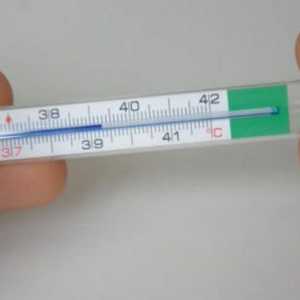 Temperatura bez upaljeno grlo i curenje nosa: Uzroci, Liječenje