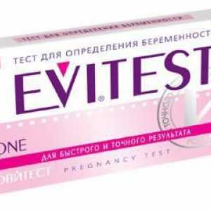 Testovi za ovulaciju i trudnoću "evitest": mišljenja, opisi, cijene, uputstva za upotrebu