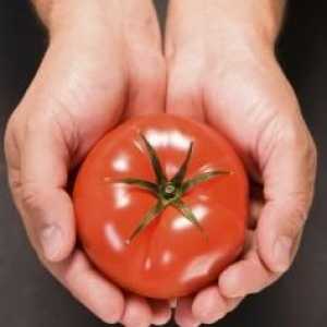 Tomato - voće ili povrće? Razmotrimo
