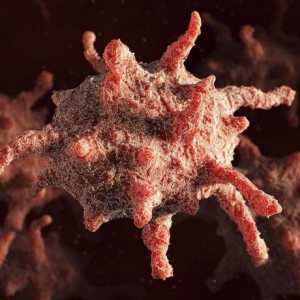 Trombociti: stopa za muškarce u krvi