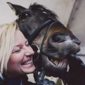 Naučnici kažu da je konj je nasmijana i grimase kao muškarac!