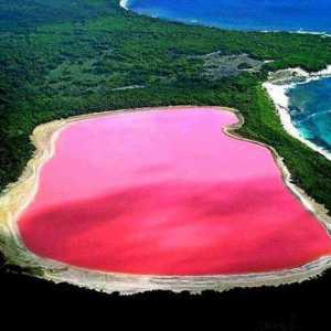 Amazing Australija: Hiller - roze jezera sa slanom plažama