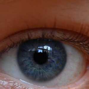 UV Research Eye Institute. Ufa istraživački institut za očne bolesti
