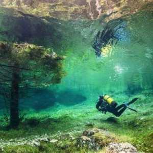 Jedinstvena Green Lake: podvodni svijet usred Austrije