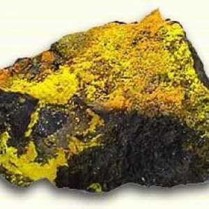 Urana rude. Kako izvući rude uranijuma. Urana rude u Rusiji