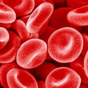 U analizi RDW krvi podiže ili spušta - šta to znači?
