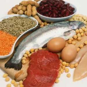 U onome što je hrana sadrži proteine? Odgovor je očigledan