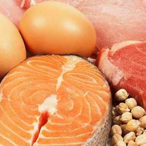 Koja hrana sadrži proteine: činjenice zdrave ishrane